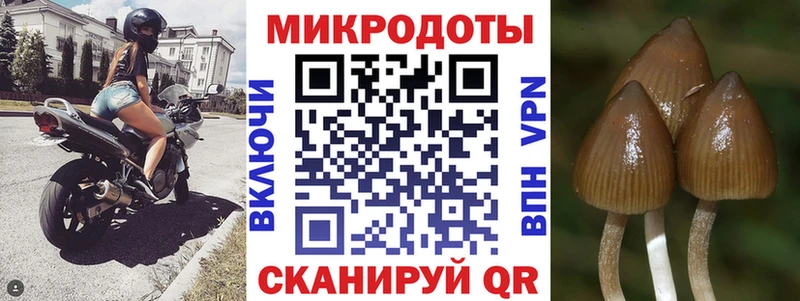 Псилоцибиновые грибы ЛСД  ссылка на мегу   Саянск  продажа наркотиков 